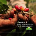 fitovet dia do trabalhador rural
