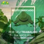 fitovet dia do trabalho [sem texto]