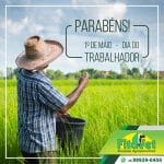 fitovet dia do trabalhador