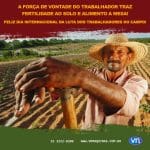 trabalhador do campo